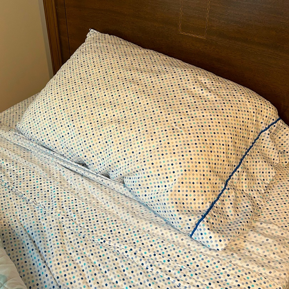 Polka Dot Twin Sheet Set for 2 beds - Blue and White